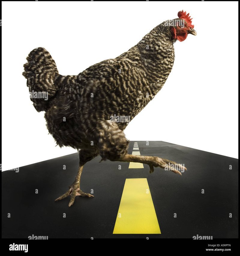 Entdecke die Spannung bei Chicken Road 2 in Deutschland spielen kann, chicken road 2 game