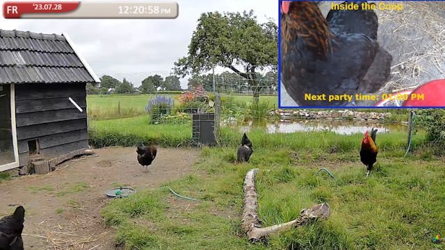 Chicken road online - Kennisoverzicht over het Online Spel Chicken Road en Casino Gokkast