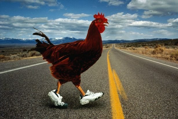La Storia di Chicken Road: Il Gioco d'Azzardo Più Popolare in Italia, chicken road